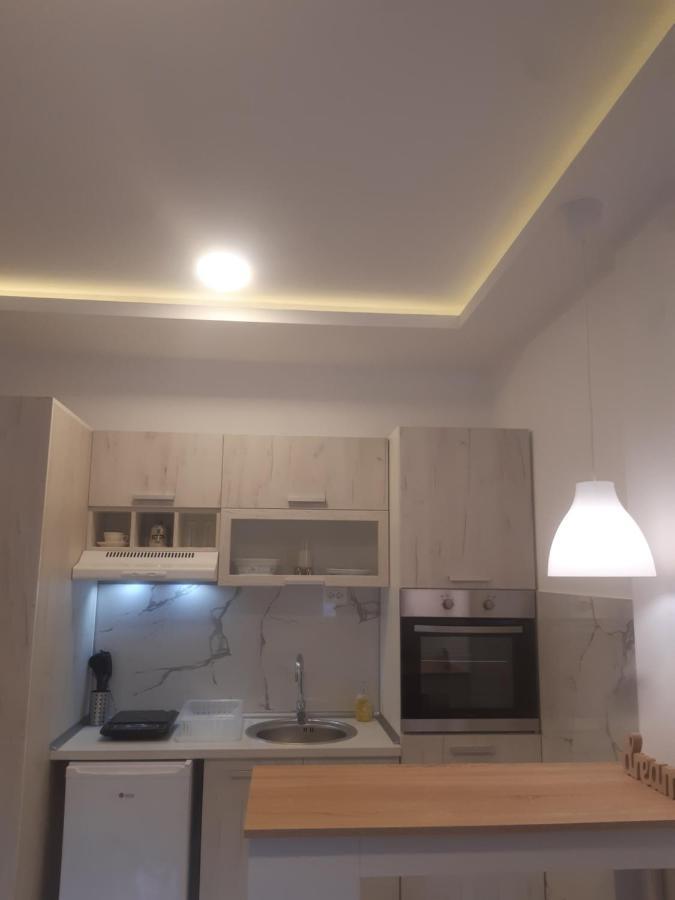 Stojanovic Apartments นิส ภายนอก รูปภาพ